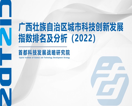 免费操骚逼视频【成果发布】广西壮族自治区城市科技创新发展指数排名及分析（2022）